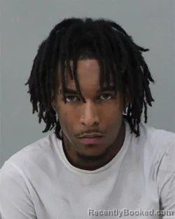 Mugshot of Jmarion Dzaia Fox