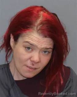 Booking photo from Clarke County, Virginia