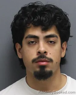 Mugshot of ANDERSON OZIEL GUDIEL ROSA