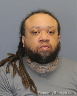 Mugshot of SEAN MICHAEL HOGAN