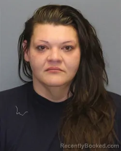 Mugshot of ASHLEY NICHOLE MCINTOSH WILSON