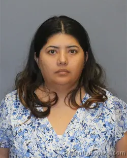 Mugshot of MARIA DEL CARMEN LOPEZ LOZANO