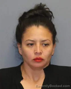 Mugshot of CLAUDIA LILIAN PALMA POLANCO booked in Clarke County, Virginia on May 2, 2026