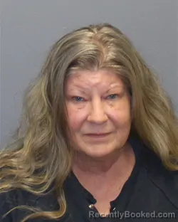 Mugshot of LAURA LEE WOLDORF booked in Clarke County, Virginia on June 7, 2026