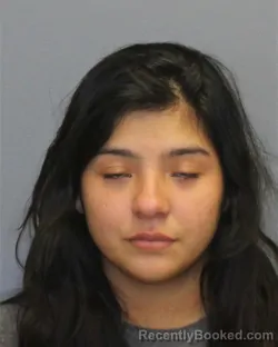 Mugshot of SAMIA TRIMINIO GONZALEZ booked in Clarke County, Virginia on August 2, 2026