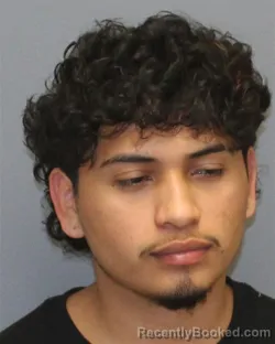 Mugshot of Edwin Martinez Ortiz booked in Clarke County, Virginia on August 24, 2026