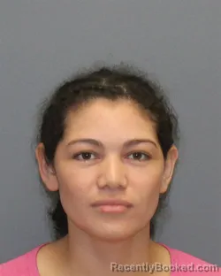Mugshot of Gricelda Damary Medina Gonzalez booked in Clarke County, Virginia on August 30, 2026