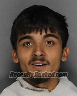 Booking photo from Ellis County, Texas