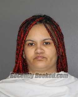 Booking photo from Ellis County, Texas