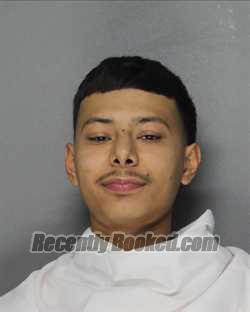 Booking photo from Ellis County, Texas