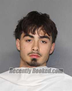 Booking photo from Ellis County, Texas