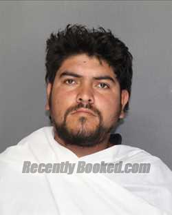 Booking photo from Ellis County, Texas