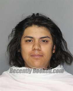 Booking photo from Ellis County, Texas