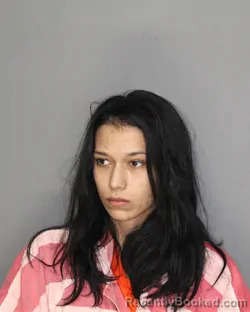 Booking photo from Ellis County, Texas