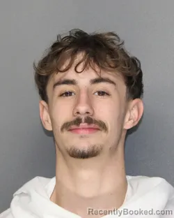 Mugshot of VINCENT THOMAS MEDROW