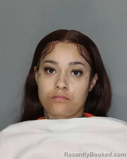 Mugshot of SHAYNA CAPRICE BOYER