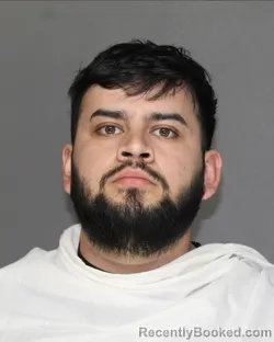 Mugshot of TONI RAMIREZ