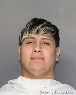 Booking photo from Ellis County, Texas