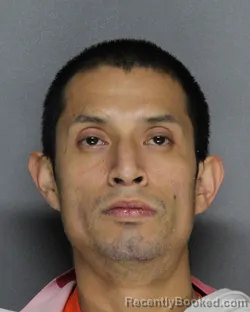 Booking photo from Ellis County, Texas