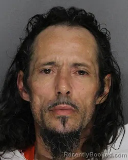 Booking photo from Ellis County, Texas