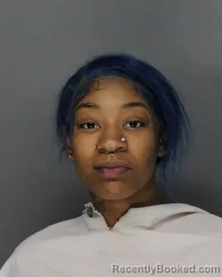 Booking photo from Ellis County, Texas