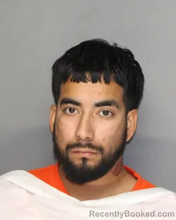 Mugshot of JONATHAN ROMERO