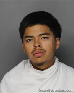 Mugshot of JESUS HERNANDEZ