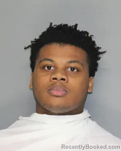 Booking photo from Ellis County, Texas