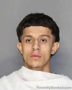 Mugshot of BRYAN SANCHEZ