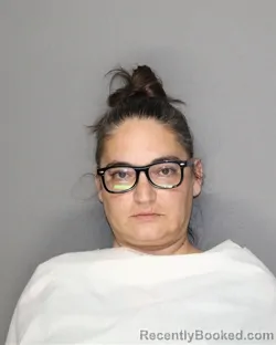 Mugshot of SARAH E PORTER