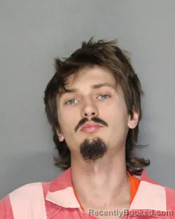 Booking photo from Ellis County, Texas