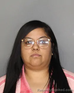 Mugshot of AMANDA RIZO
