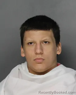 Booking photo from Ellis County, Texas