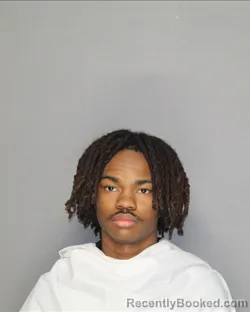 Mugshot of CHRISTOPHER ROBERT NIENHUIS