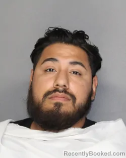 Mugshot of LORENZO ALCALA