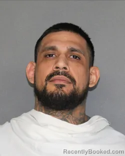 Mugshot of IVAN RUIZ
