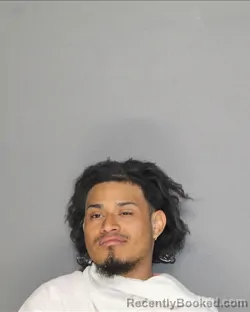 Booking photo from Ellis County, Texas