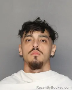 Mugshot of JUAN CEDILLO