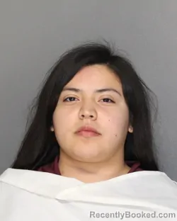 Mugshot of MELANY LOPEZ