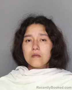Mugshot of AMANDA MARI GONZALEZ