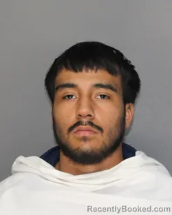 Mugshot of DANIEL ALONSO