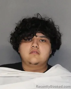 Mugshot of ANTHONY JESUS AMEZQUITA