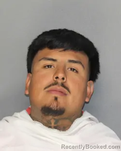 Mugshot of YVAN PALMAS