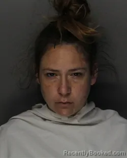 Mugshot of KRISTA LYNN CARTER