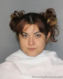 Mugshot of SUMMER ANN JOLLEY