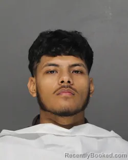 Mugshot of ECTOR GARCIA