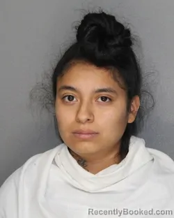 Mugshot of GUADALUPE ALVARADO