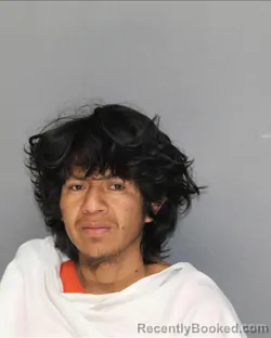 Mugshot of JOSE MOISES ALVARADO