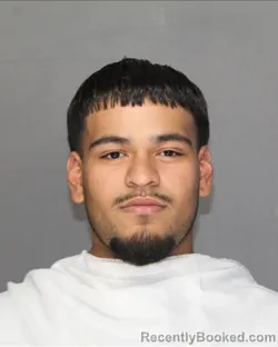 Mugshot of DAMION DELEON AUMADA