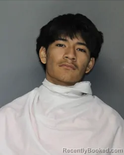 Mugshot of MIGUEL LOPEZ